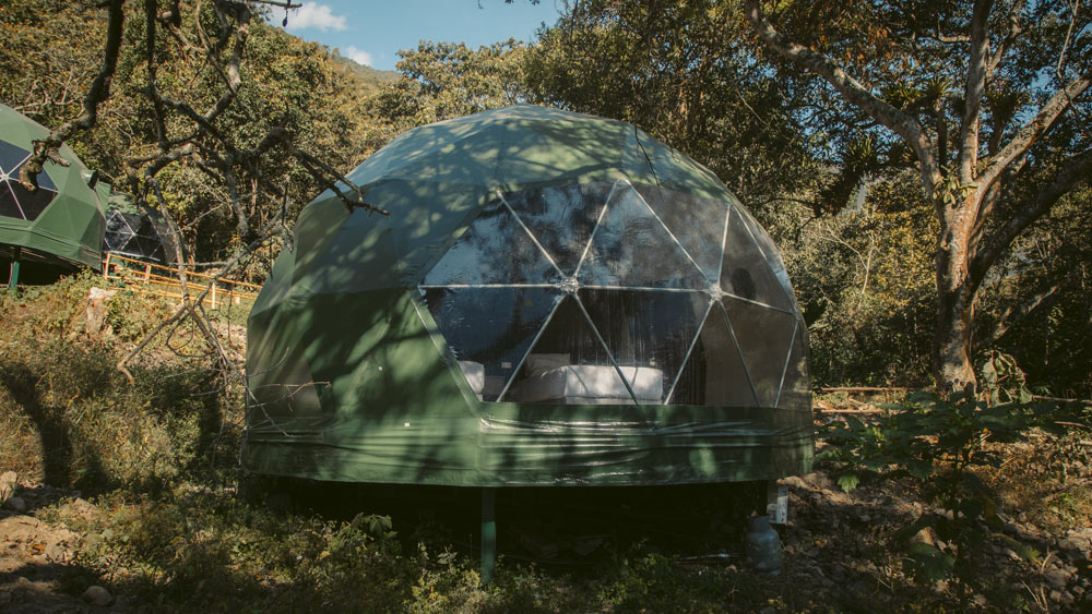 Super Jungle Domes
