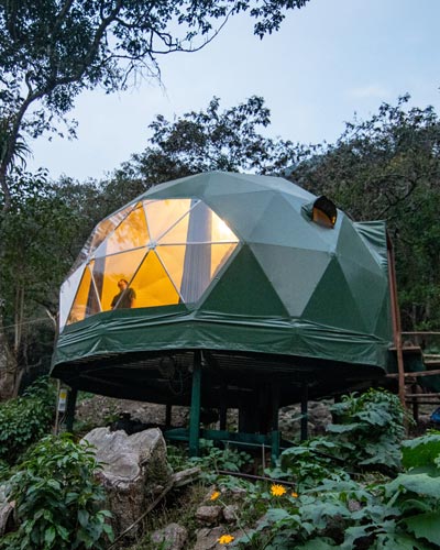 Super Jungle Domes